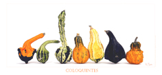 Coloquintes